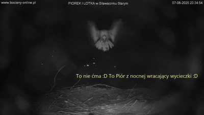 bandicam 2025-08-08 09-23-12-555.jpg