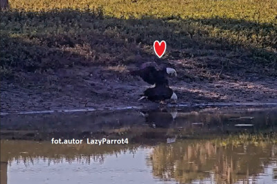 bandicam 2025-11-15 14-36-44-051.jpg