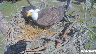 bandicam 2025-11-15 14-37-15-643.jpg