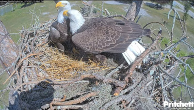 bandicam 2025-11-15 14-37-19-732.jpg