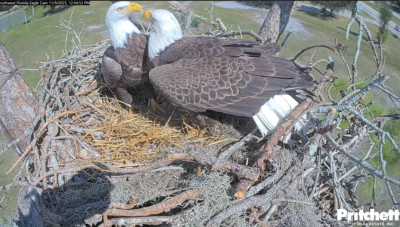 bandicam 2025-11-15 14-37-24-395.jpg