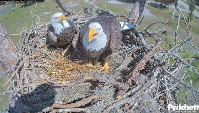 bandicam 2025-11-15 14-37-28-900.jpg