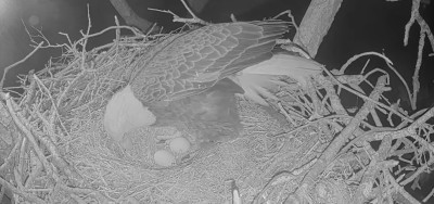 bandicam 2025-11-19 20-37-39-895.jpg