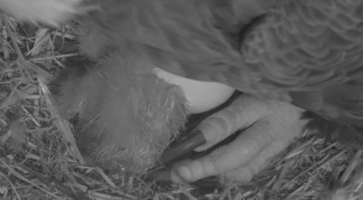 bandicam 2025-12-19 07-44-21-084.jpg