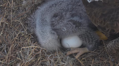 bandicam 2026-01-05 17-10-21-329.jpg