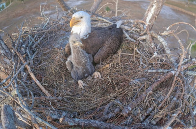 bandicam 2026-01-08 08-29-33-651.jpg