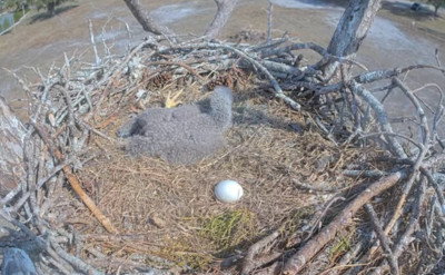 bandicam 2026-01-12 18-55-06-875.jpg