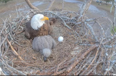 bandicam 2026-01-12 18-57-44-612.jpg