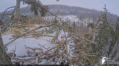 bandicam 2026-01-15 13-04-06-652.jpg