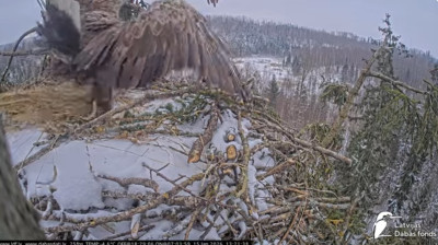 bandicam 2026-01-15 13-07-08-989.jpg