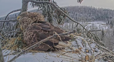 bandicam 2026-01-15 13-11-02-963.jpg