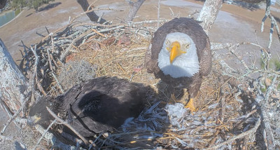 bandicam 2026-02-02 08-25-18-354.jpg