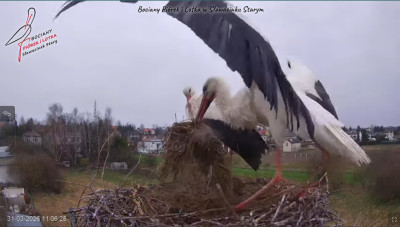bandicam 2026-03-31 11-09-34-063.jpg