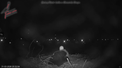 bandicam 2026-03-31 20-32-34-497.jpg