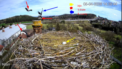 bandicam 2026-04-05 17-17-53-981.jpg