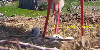 bandicam 2026-05-25 09-52-20-734.jpg