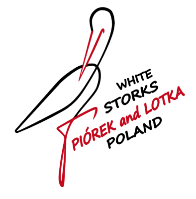 logo_transparent_eng.png