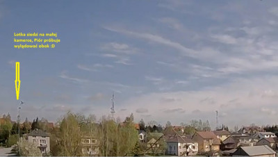 18.04.7.jpg
