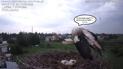 25.05.1.jpg