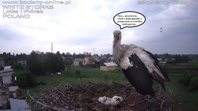 25.05.2.jpg