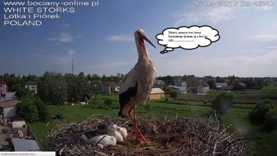 26.05.4.jpg