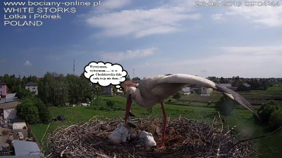 26.05.5.jpg