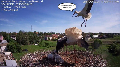 28.05.2.jpg