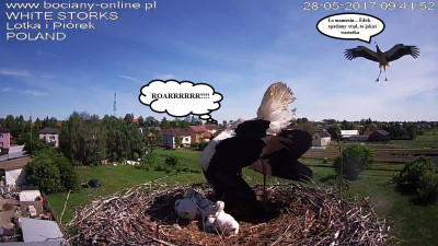 28.05.3.jpg