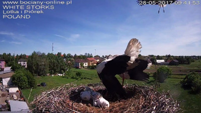 28.05.4.jpg