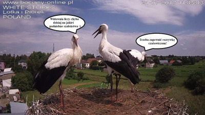 22.07.1.jpg